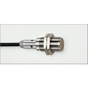 IGT206